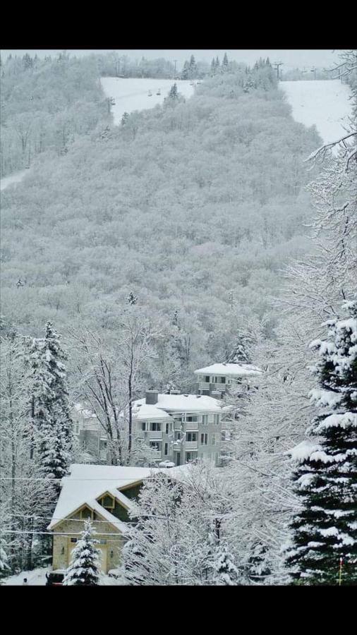 Апартаменты Ski-In, Ski-Out Chaleureux Studio Loft Au Pied Des Pistes De Ski Стоунхем Экстерьер фото